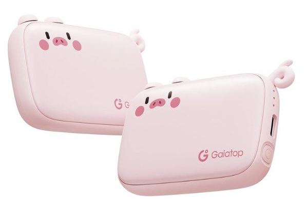 Gaiatop wiederaufladbare Handwärmer Schwein 2x für 10,99